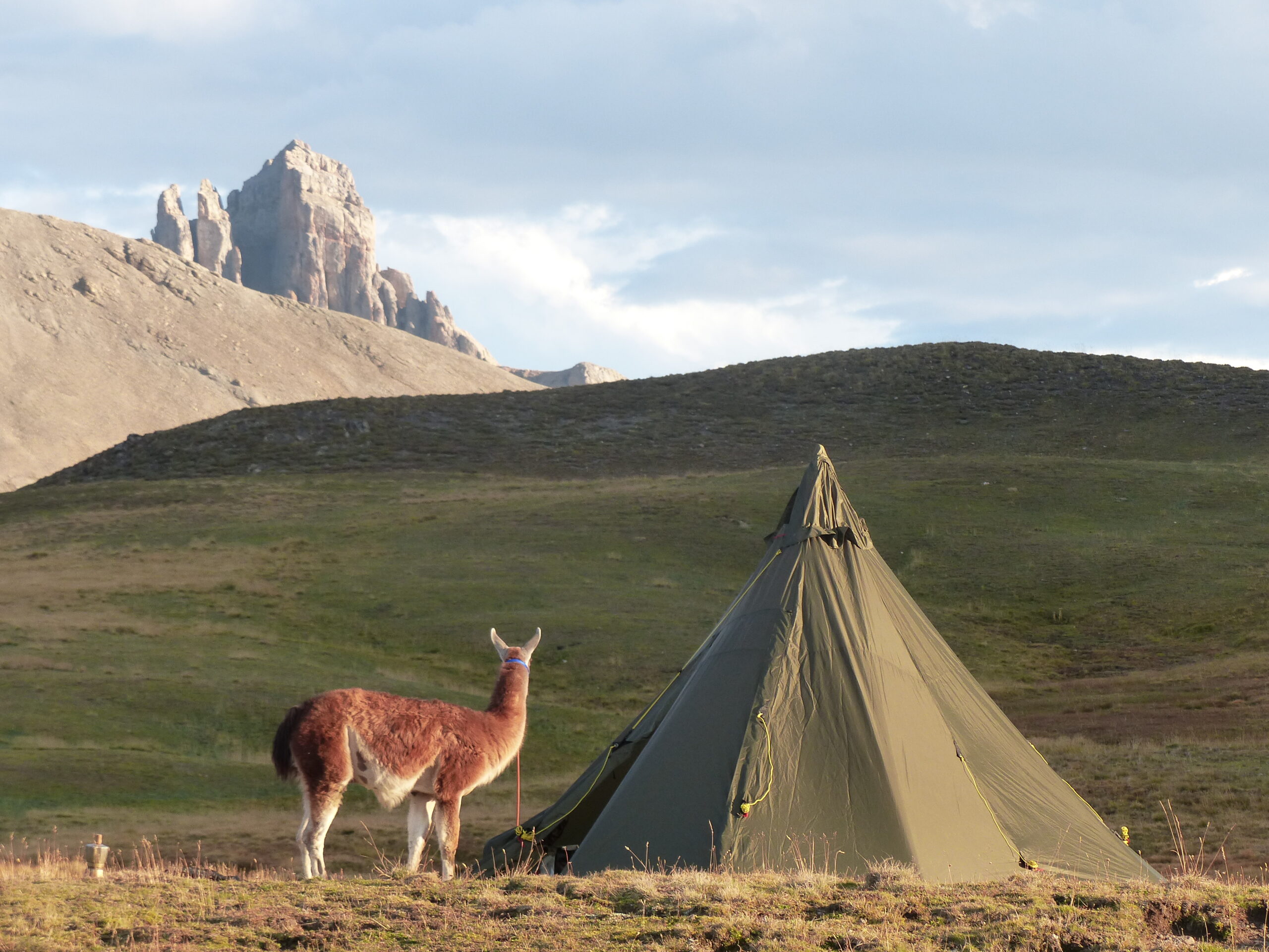 Au pré des lamas, Lama trek