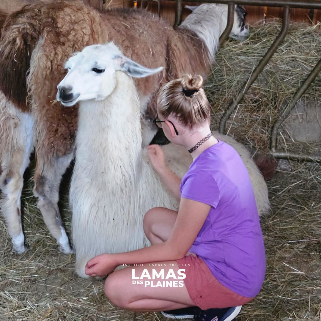 Publications-Reseaux-sociaux-5