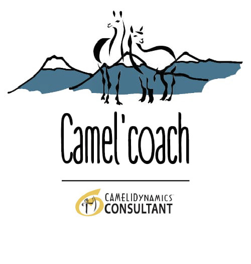 Camel’coach